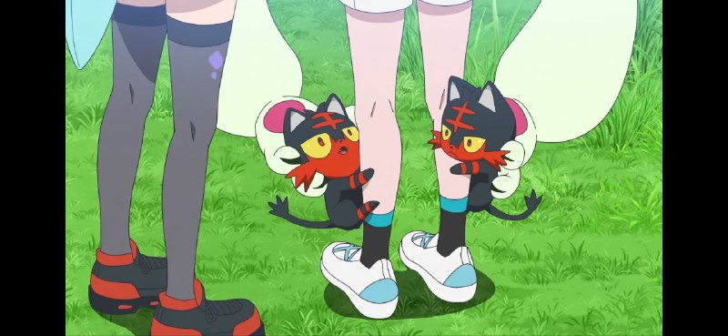 爆笑了醋王喵 #PM爆笑了醋王喵 #PM