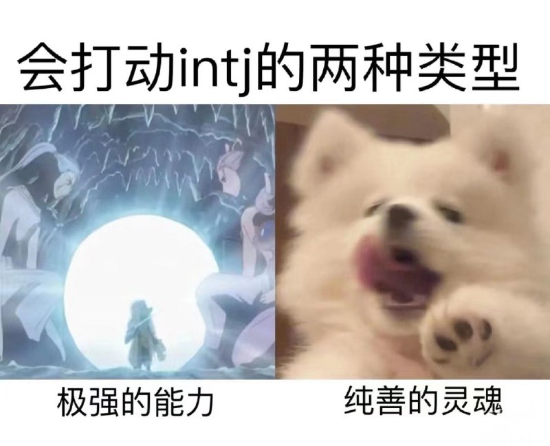 这么一想好像喜欢的角色们还真的符合