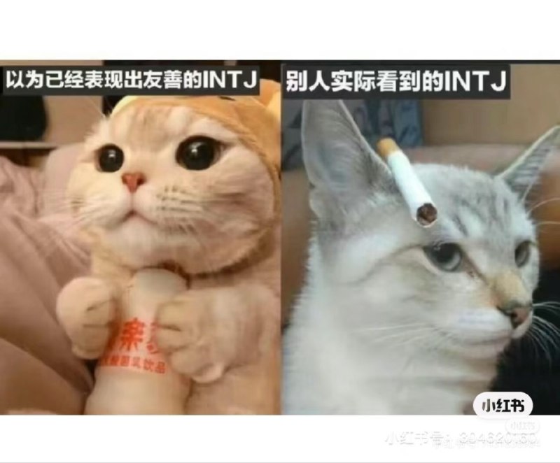 梗图time之三梗图time之三