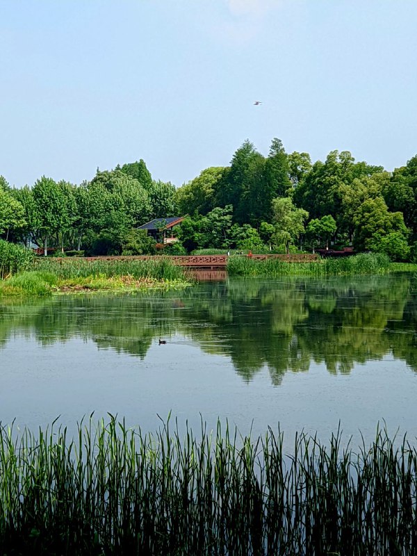倒是第一次来金银湖公园，整挺好倒是第一次来金银湖公园，整挺好
