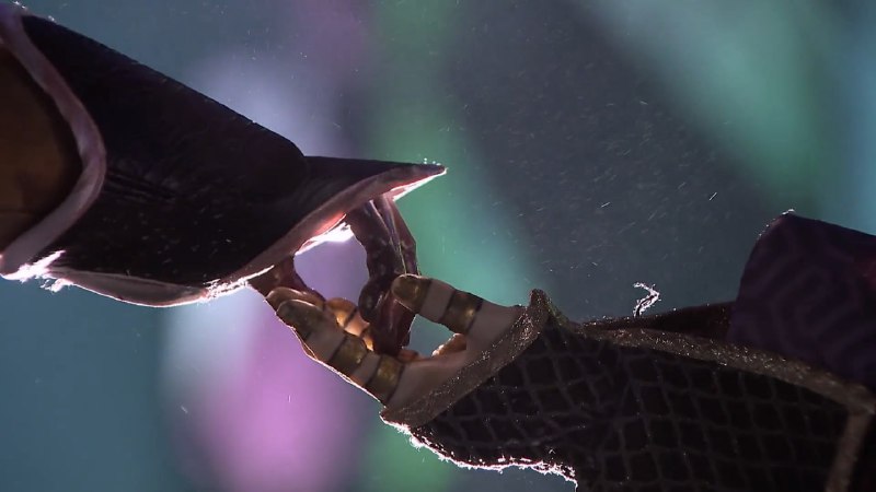 奇怪的男女嘉宾在奇怪的场景下牵手了（奇怪的男女嘉宾在奇怪的场景下牵手了（