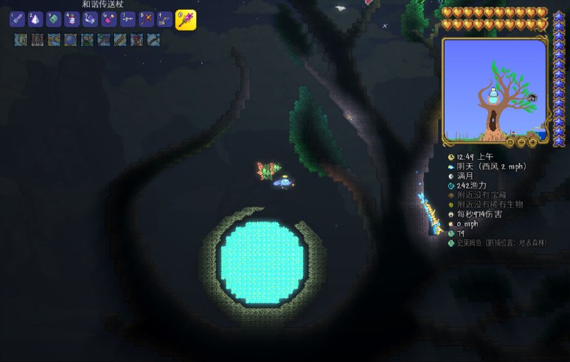 退休养老活动之一 #泰拉瑞亚退休养老活动之一 #泰拉瑞亚