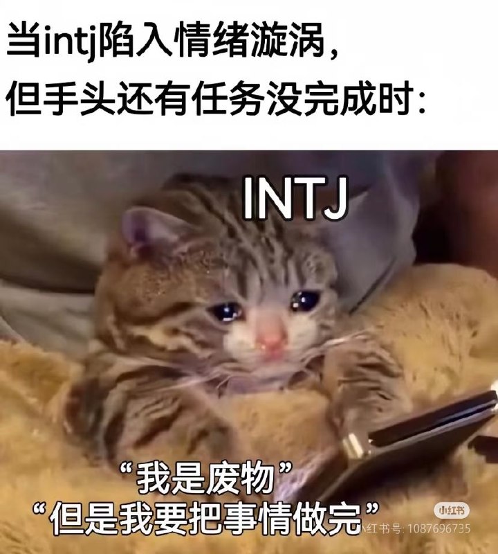 梗图last梗图last