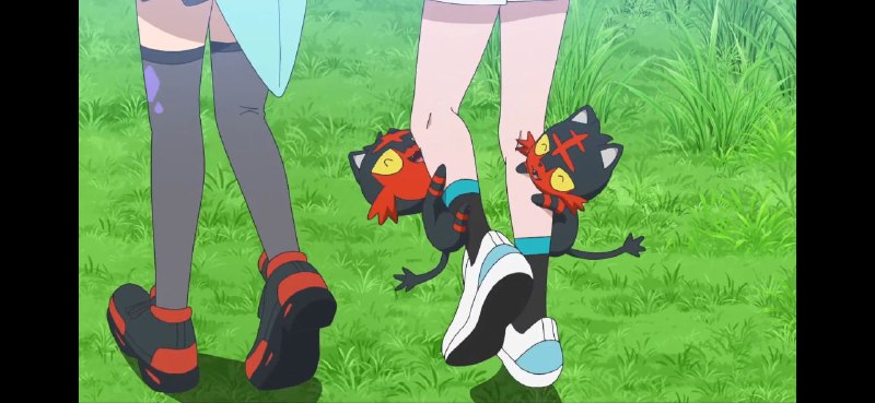 爆笑了醋王喵 #PM爆笑了醋王喵 #PM