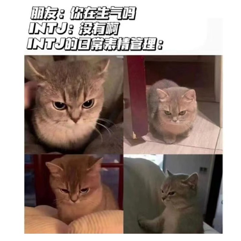 梗图last梗图last