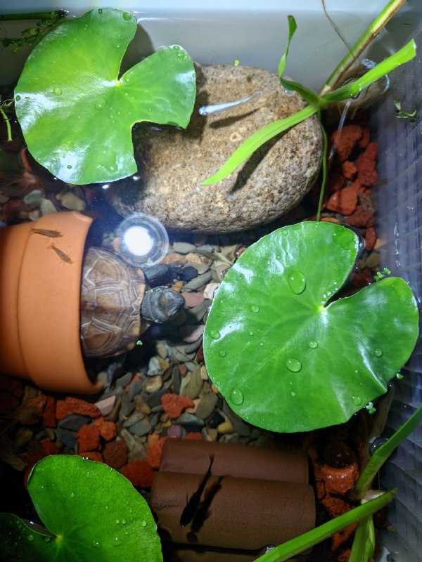 更新一下布置🥳